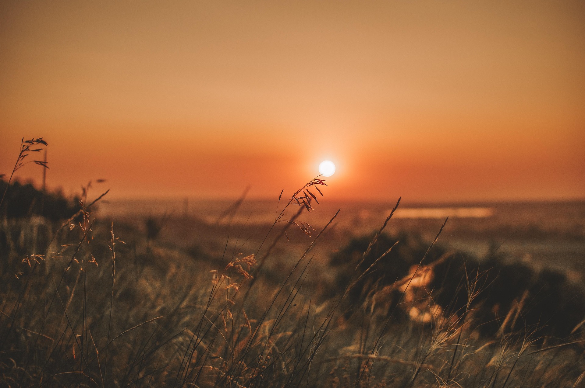caldo sole tramonto