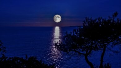 Photo of La luna piena di agosto: quando guardarla e cosa aspettarsi