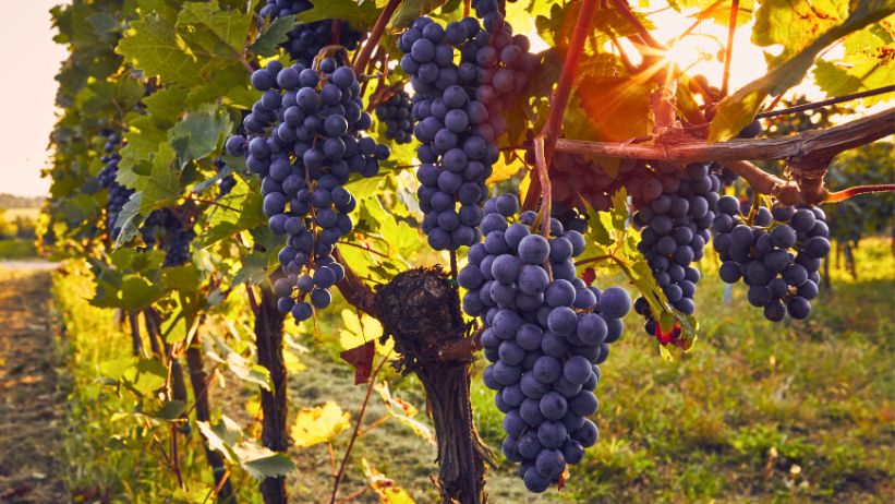 meteo settembre autunno