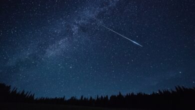 Photo of Notte di San Lorenzo: dove guardare per vedere le stelle cadenti