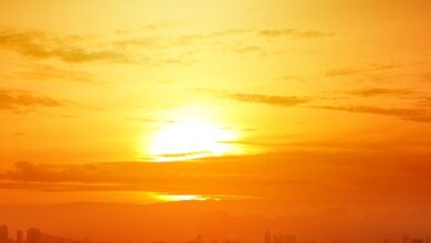 Photo of Ondata di caldo anomalo in Canada e Stati Uniti: record storici e anomalie climatiche