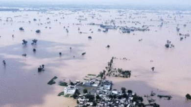 Photo of Piogge torrenziali devastano il Punjab: alluvioni record e crisi agricola
