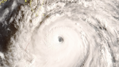 Photo of Tifone Ragasa devasta il Sud della Cina: milioni evacuati tra inondazioni e venti record