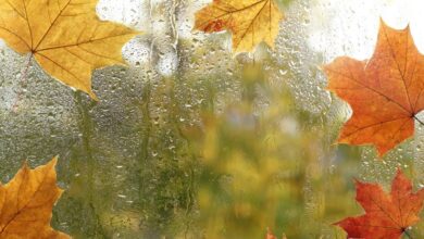 Photo of Previsioni meteo, nel weekend due perturbazioni sull’Italia