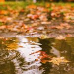 previsioni meteo ottobre autunno pioggia maltempo weekend