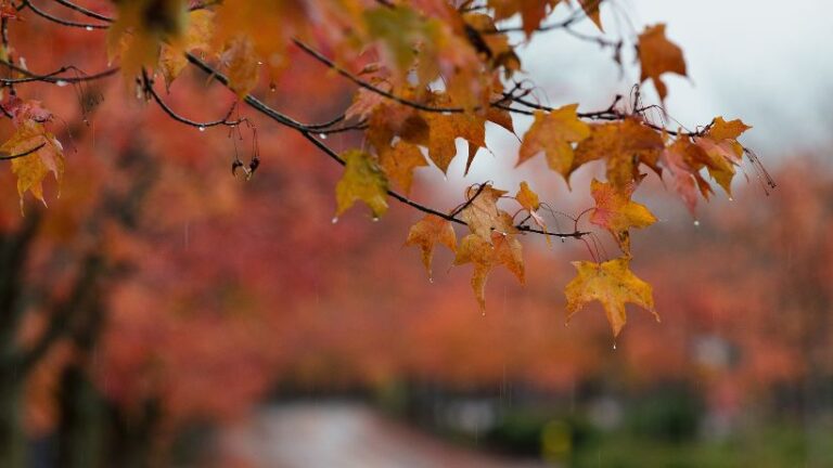 previsioni meteo domani ottobre maltempo pioggia autunno