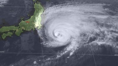 Photo of Tifone Halong in Giappone: colpite le isole Izu! Venti violentissimi