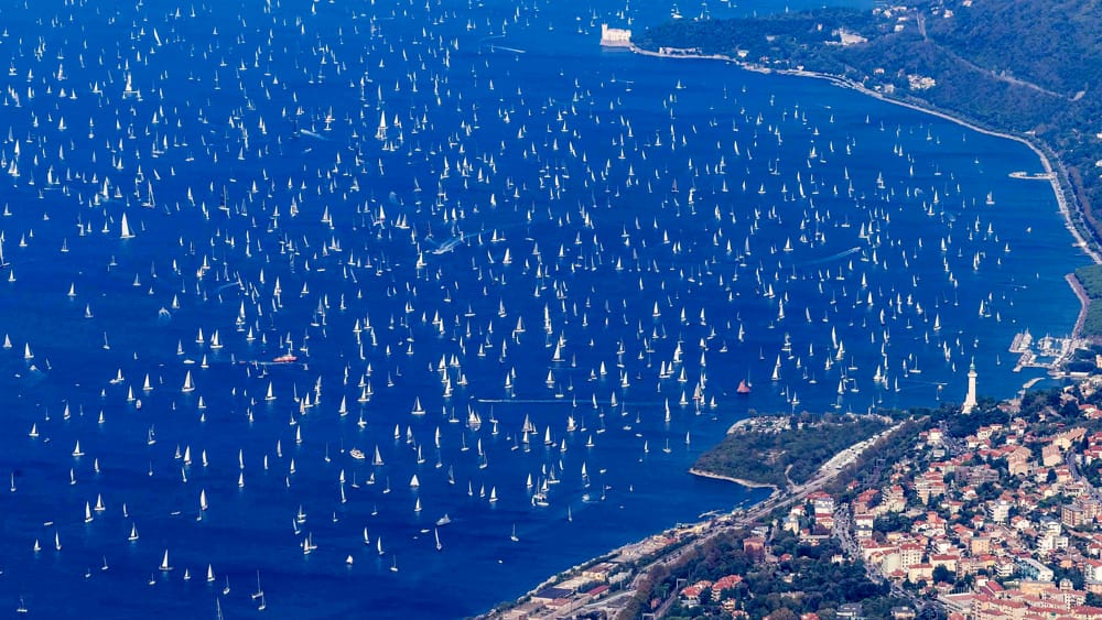 barcolana