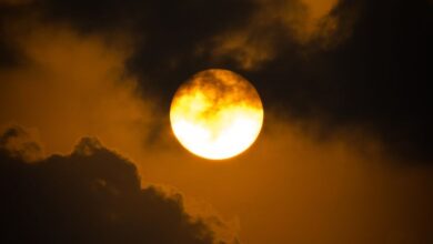 Photo of Tendenza meteo: in arrivo il maltempo di Halloween! Forti temporali e caldo anomalo