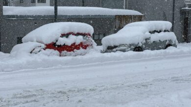 Photo of Nevicata storica a Reykjavik: record di neve infranto dopo oltre un secolo