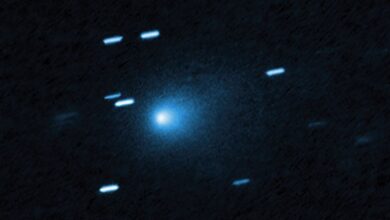 Photo of Cometa interstellare 3I Atlas: caratteristiche, origine e osservazione nel 2025