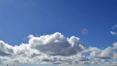 Photo of Meteo 8 ottobre: tempo stabile e temperature miti in Italia