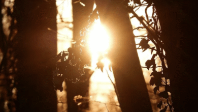 Photo of Meteo weekend 11-12 ottobre: alta pressione e clima mite quasi ovunque