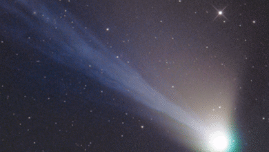 Photo of Cometa Lemmon: spettacolo celeste visibile in Italia tra ottobre e novembre
