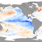 Niña clima