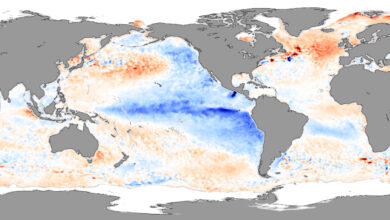 Photo of La Niña influenzerà davvero il clima in Italia?