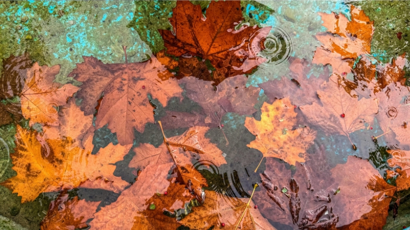 autunno pioggia meteo domani ognissanti