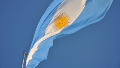 Photo of Elezioni in Argentina: Milei trionfa e rafforza il suo potere con una vittoria storica