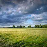 vento campo nuvole