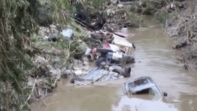 Photo of Messico, alluvioni devastanti: oltre 70 vittime e decine di dispersi nel Centro-Est