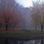 meteo oggi autunno nebbia