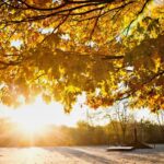 meteo domani autunno sole weekend