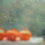 meteo domani halloween