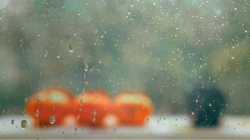 meteo domani halloween