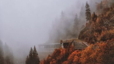 Photo of Previsioni meteo: inizio settimana ancora stabile, poi primi cambiamenti