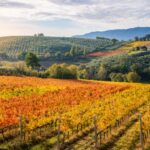 meteo domani sole nebbia