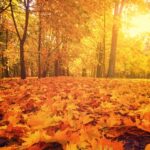 meteo weekend ognissanti pioggia novembre