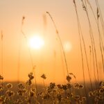 estate di san martino