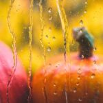 previsioni meteo halloween pioggia allerta protezione civile calabria