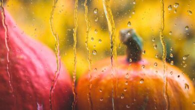 Photo of Halloween a rischio di forte maltempo, è allerta. Le previsioni