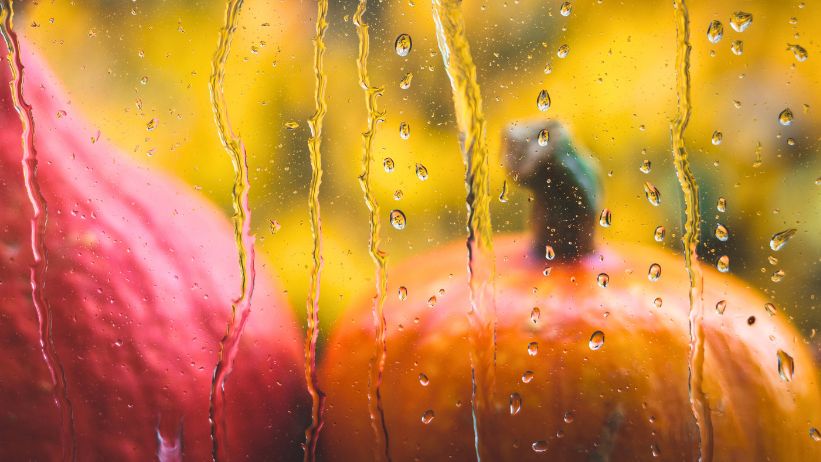 previsioni meteo halloween pioggia allerta protezione civile calabria