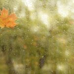 previsioni meteo domani