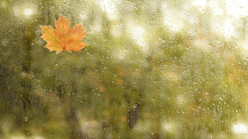 previsioni meteo domani