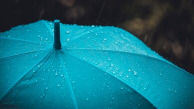 Photo of Maltempo in arrivo: vortice ciclonico sull’Italia da venerdì! Dove colpirà?