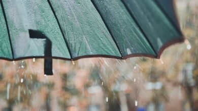 Photo of Previsioni meteo, martedì molte piogge e vento forte
