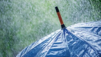 Photo of Previsioni meteo Italia domani: torna il maltempo al Centro-Sud