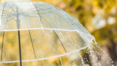 Photo of Previsioni meteo oggi: nubi in aumento e prime piogge! Maltempo in arrivo