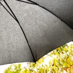 previsioni meteo dicembre pioggia