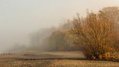 Photo of Meteo weekend: oggi stabile, maltempo in arrivo domani. Le previsioni nei dettagli
