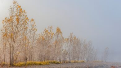 Photo of Weekend con tempo variabile al Sud e sole al Nord: le previsioni meteo dell’8 e 9 novembre