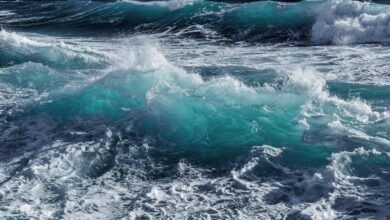 Photo of Tempesta nor’easter minaccia New York e la East Coast: allerta per piogge e venti intensi