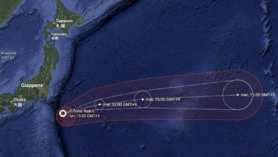 Photo of Tifone Nakri in Giappone: allerta nelle Isole Izu, gravi danni a Hachijojima