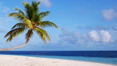 Photo of Maldive, divieto di fumo per i nati dopo il 2007: la prima nazione con bando generazionale