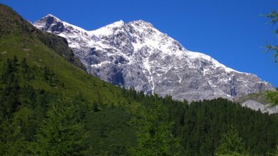 Photo of Valanga in Alto Adige sull’Ortles: cinque escursionisti tedeschi morti, tragedia a Cima Vertana