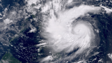 Photo of Tifone Kalmaegi devasta le Filippine centrali: almeno 66 morti, migliaia di sfollati e città sommerse