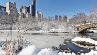 Photo of Neve nello Stato di New York e maltempo negli USA: l’inverno artico colpisce il Nord-Est